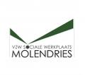 Logo_Molendries